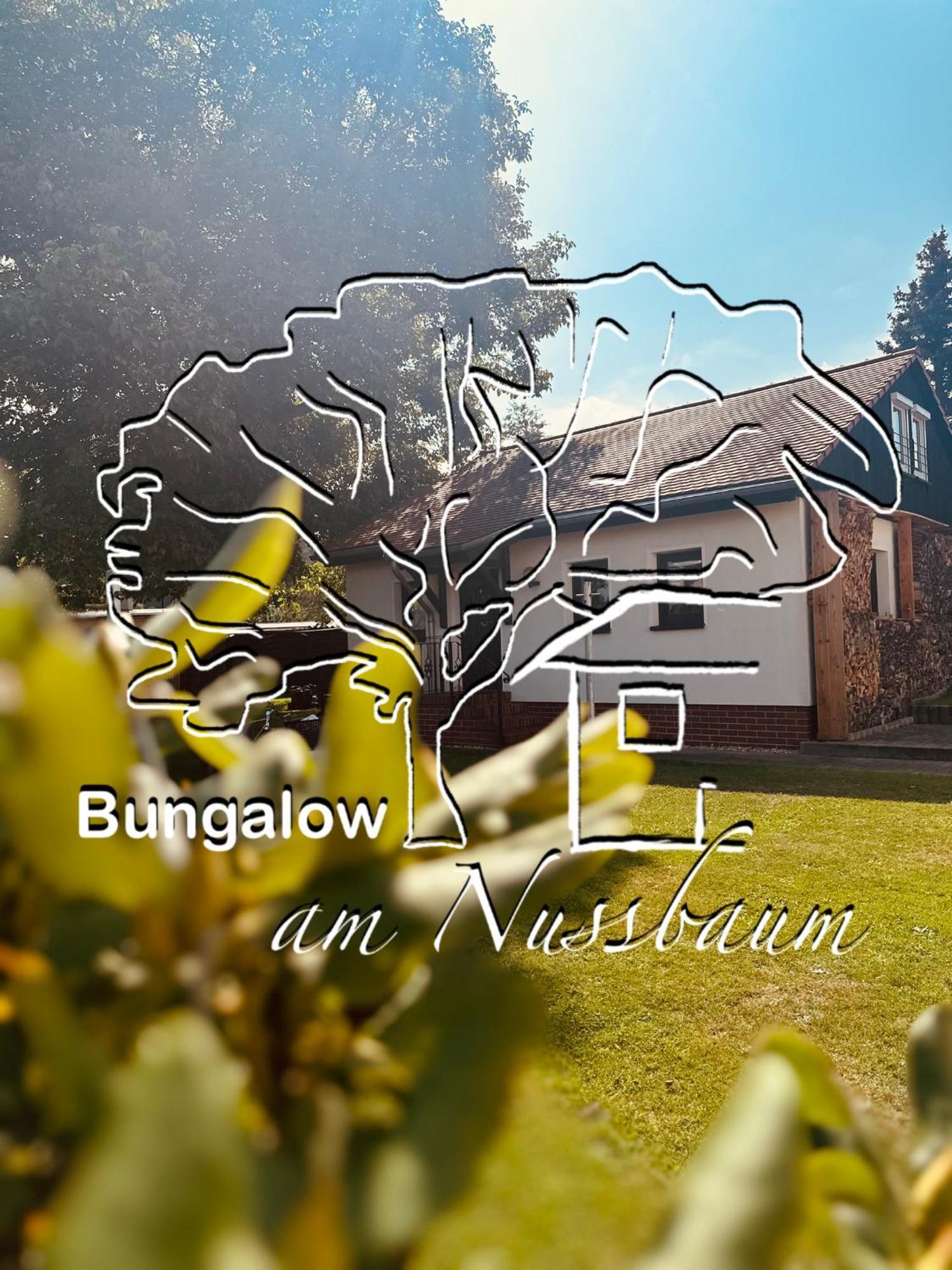 Bungalow Am Nussbaum Olbersdorf Exterior photo